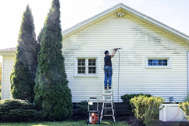 Best House Exterior Washing  in Grizzly Flats, CA
